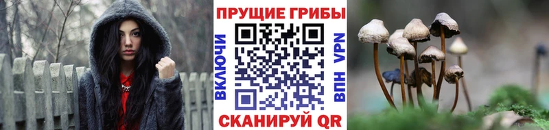 Псилоцибиновые грибы Cubensis  MEGA рабочий сайт  Благодарный 