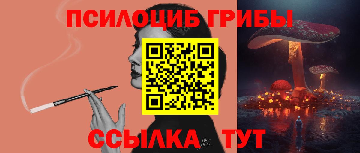Псилоцибиновые грибы Cubensis  Вход с VPN  Галлюциногенные грибы ЛСД  Благодарный 